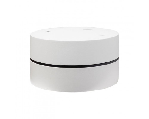 Оформить заказ Влагозащищенный светильник LeDron BARREL White| VIVID-LIGHT.RU