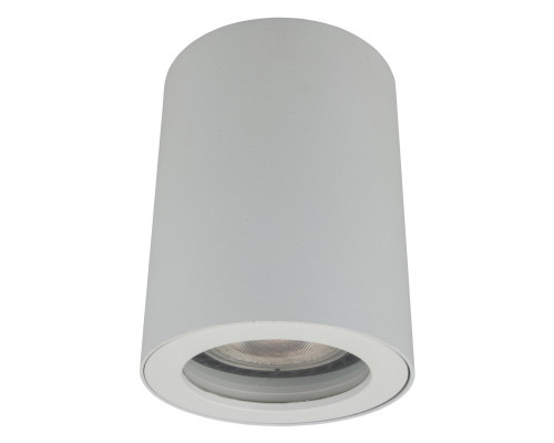 Заказать Влагозащищенный светильник Denkirs DK3007-WH| VIVID-LIGHT.RU