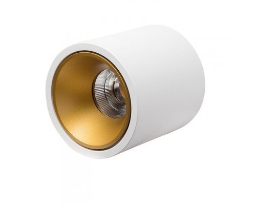 Оформить заказ Влагозащищенный светильник LeDron RINBOK White/Gold| VIVID-LIGHT.RU