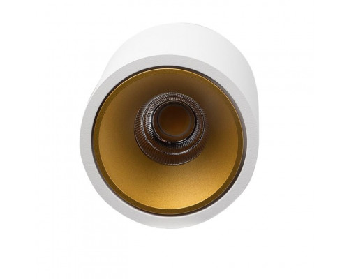 Сделать заказ Влагозащищенный светильник LeDron RINBOK White/Gold| VIVID-LIGHT.RU