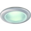 Влагозащищенный светильник ARTE Lamp A2024PL-1SS