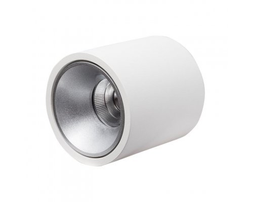 Сделать заказ Влагозащищенный светильник LeDron RINBOK White/Grey| VIVID-LIGHT.RU