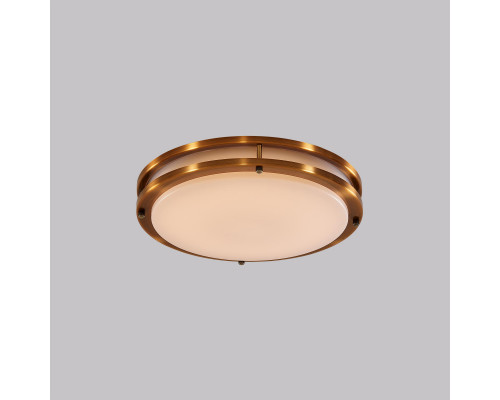 Заказать Влагозащищенный светильник Citilux CL709253| VIVID-LIGHT.RU