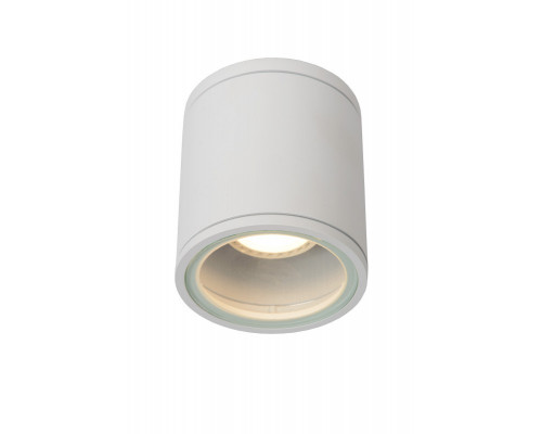 Заказать Влагозащищенный светильник LUCIDE 22962/01/31| VIVID-LIGHT.RU