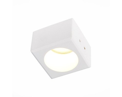 Сделать заказ Встраиваемый светильник ST-Luce ST252.508.01| VIVID-LIGHT.RU