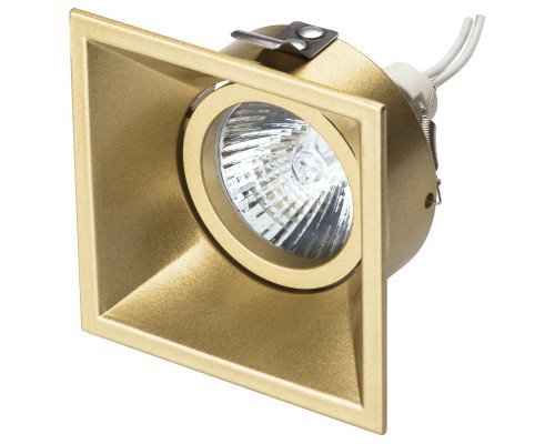 Заказать Встраиваемый светильник Lightstar 214503| VIVID-LIGHT.RU