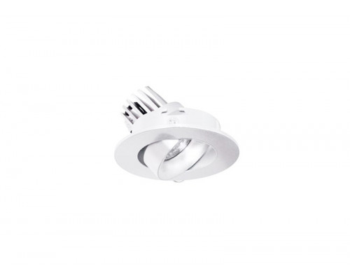 Оформить заказ Встраиваемый светильник Donolux DL18464/01WW-White R Dim| VIVID-LIGHT.RU