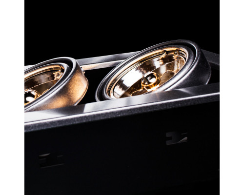 Купить Встраиваемый светильник ARTE Lamp A5930PL-2SI| VIVID-LIGHT.RU