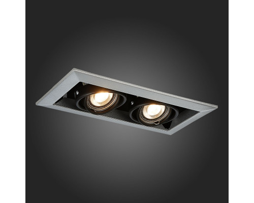 Сделать заказ Встраиваемый светильник ST-Luce ST250.148.02| VIVID-LIGHT.RU