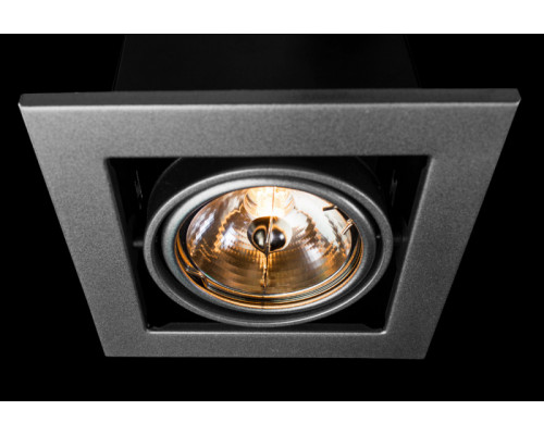 Заказать Встраиваемый светильник ARTE Lamp A5930PL-1SI| VIVID-LIGHT.RU