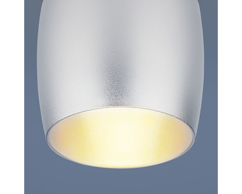 Оформить заказ Встраиваемый светильник Elektrostandard 6074 MR16 SL серебро| VIVID-LIGHT.RU