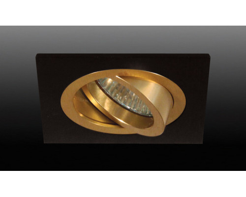 Заказать Встраиваемый светильник Donolux SA1520-Gold/Black| VIVID-LIGHT.RU