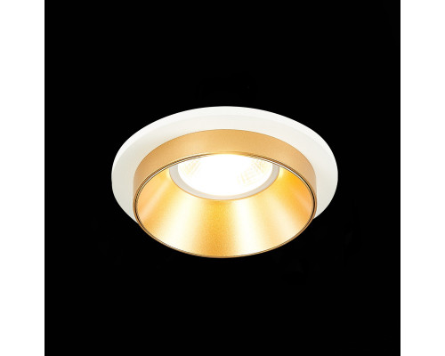 Сделать заказ Встраиваемый светильник ST-Luce ST206.258.01| VIVID-LIGHT.RU