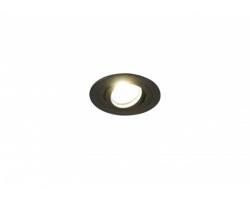 Купить Встраиваемый светильник SYNEIL 2023-1DLB| VIVID-LIGHT.RU