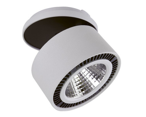 Сделать заказ Встраиваемый светильник Lightstar 213849| VIVID-LIGHT.RU