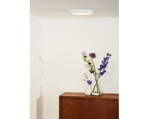 Оформить заказ Встраиваемый светильник LUCIDE 07105/18/31| VIVID-LIGHT.RU