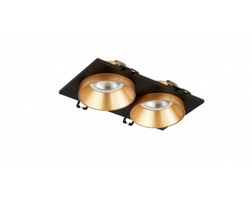 Купить Встраиваемый светильник SYNEIL 2068-2DLBG| VIVID-LIGHT.RU