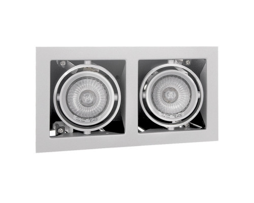 Заказать Встраиваемый светильник Lightstar 214020| VIVID-LIGHT.RU