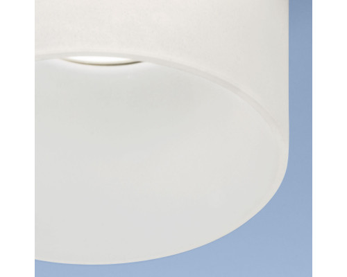 Сделать заказ Встраиваемый светильник Elektrostandard 2052 MR16 MT матовый| VIVID-LIGHT.RU