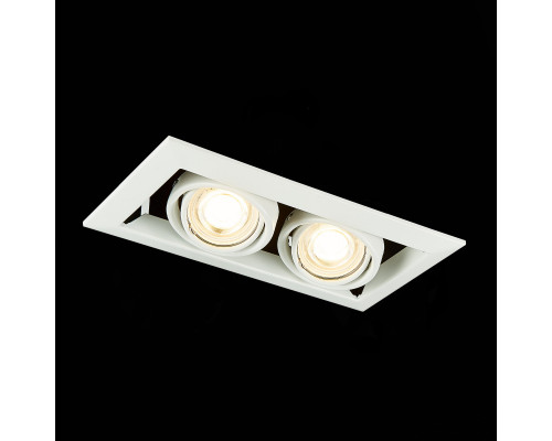 Оформить заказ Встраиваемый светильник ST-Luce ST250.558.02| VIVID-LIGHT.RU