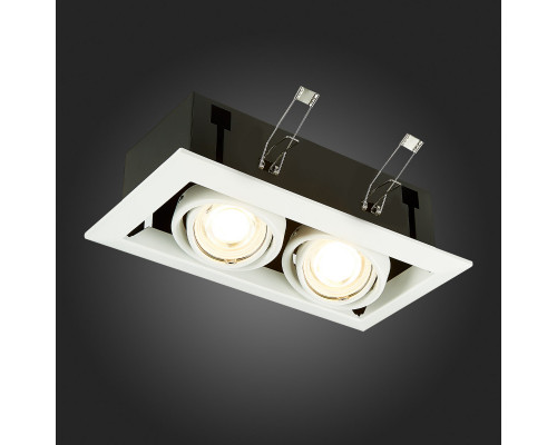 Оформить заказ Встраиваемый светильник ST-Luce ST250.558.02| VIVID-LIGHT.RU