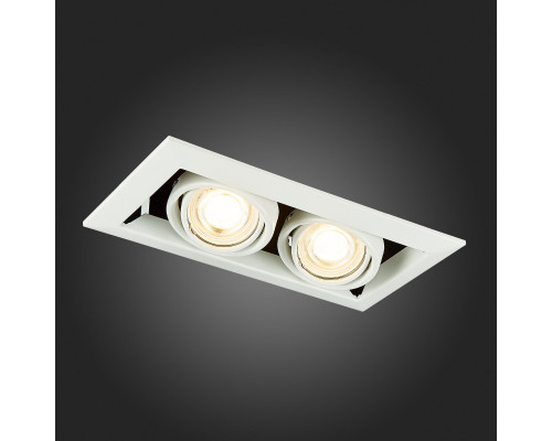 Оформить заказ Встраиваемый светильник ST-Luce ST250.558.02| VIVID-LIGHT.RU