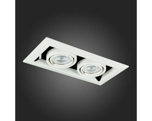 Оформить заказ Встраиваемый светильник ST-Luce ST250.558.02| VIVID-LIGHT.RU