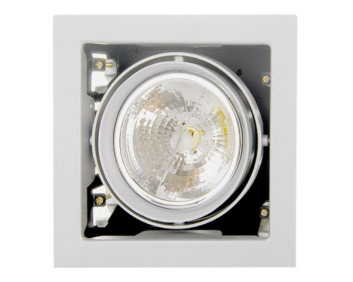 Заказать Встраиваемый светильник Lightstar 214110| VIVID-LIGHT.RU