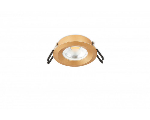 Купить Встраиваемый светильник SYNEIL 2072-1DLG| VIVID-LIGHT.RU