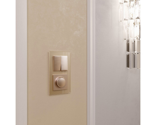 Заказать Выключатель Werkel W1122011| VIVID-LIGHT.RU