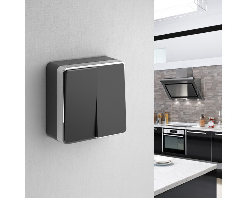 Сделать заказ Выключатель Werkel W5020035| VIVID-LIGHT.RU