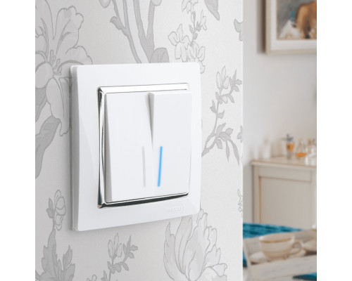 Заказать Выключатель Werkel W1122101| VIVID-LIGHT.RU