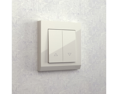 Заказать Выключатель Werkel W1124503| VIVID-LIGHT.RU