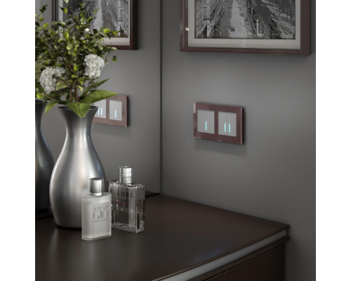 Заказать Выключатель Werkel W4520606| VIVID-LIGHT.RU