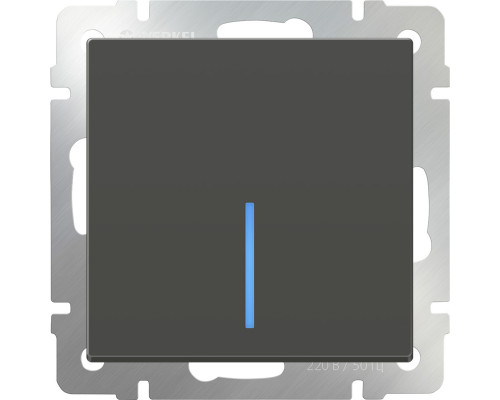 Оформить заказ Выключатель Werkel W1110107| VIVID-LIGHT.RU