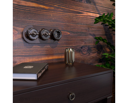 Купить Выключатель Werkel W5612014| VIVID-LIGHT.RU