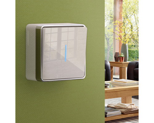 Заказать Выключатель Werkel W5010103| VIVID-LIGHT.RU