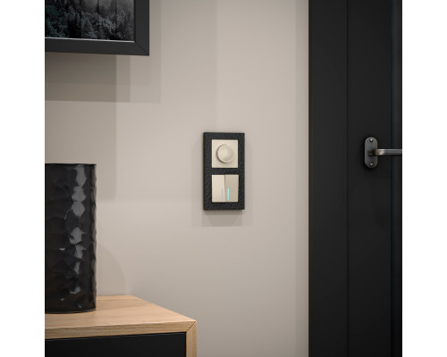 Купить Выключатель Werkel W1120103| VIVID-LIGHT.RU