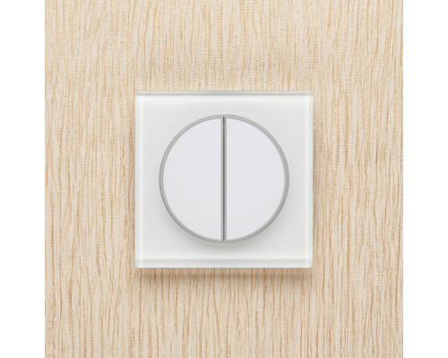 Заказать Выключатель Delumo T29003| VIVID-LIGHT.RU