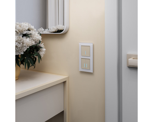 Купить Выключатель Werkel W4520111| VIVID-LIGHT.RU