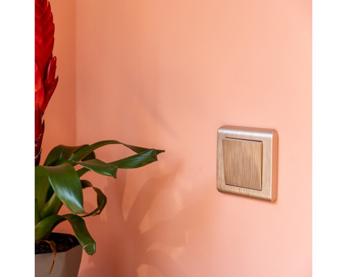 Сделать заказ Выключатель Werkel W1110010| VIVID-LIGHT.RU