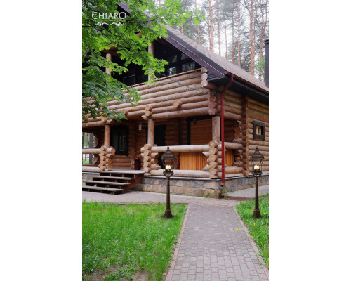 Купить Садовый светильник Chiaro 800040203| VIVID-LIGHT.RU