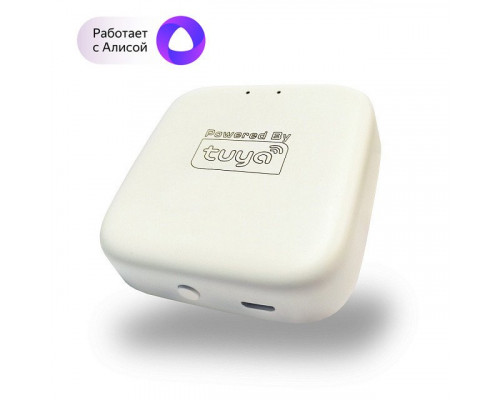Заказать WIFI Converter SMART| VIVID-LIGHT.RU