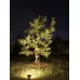 Оформить заказ Грунтовый светильник Covali FL-33005| VIVID-LIGHT.RU